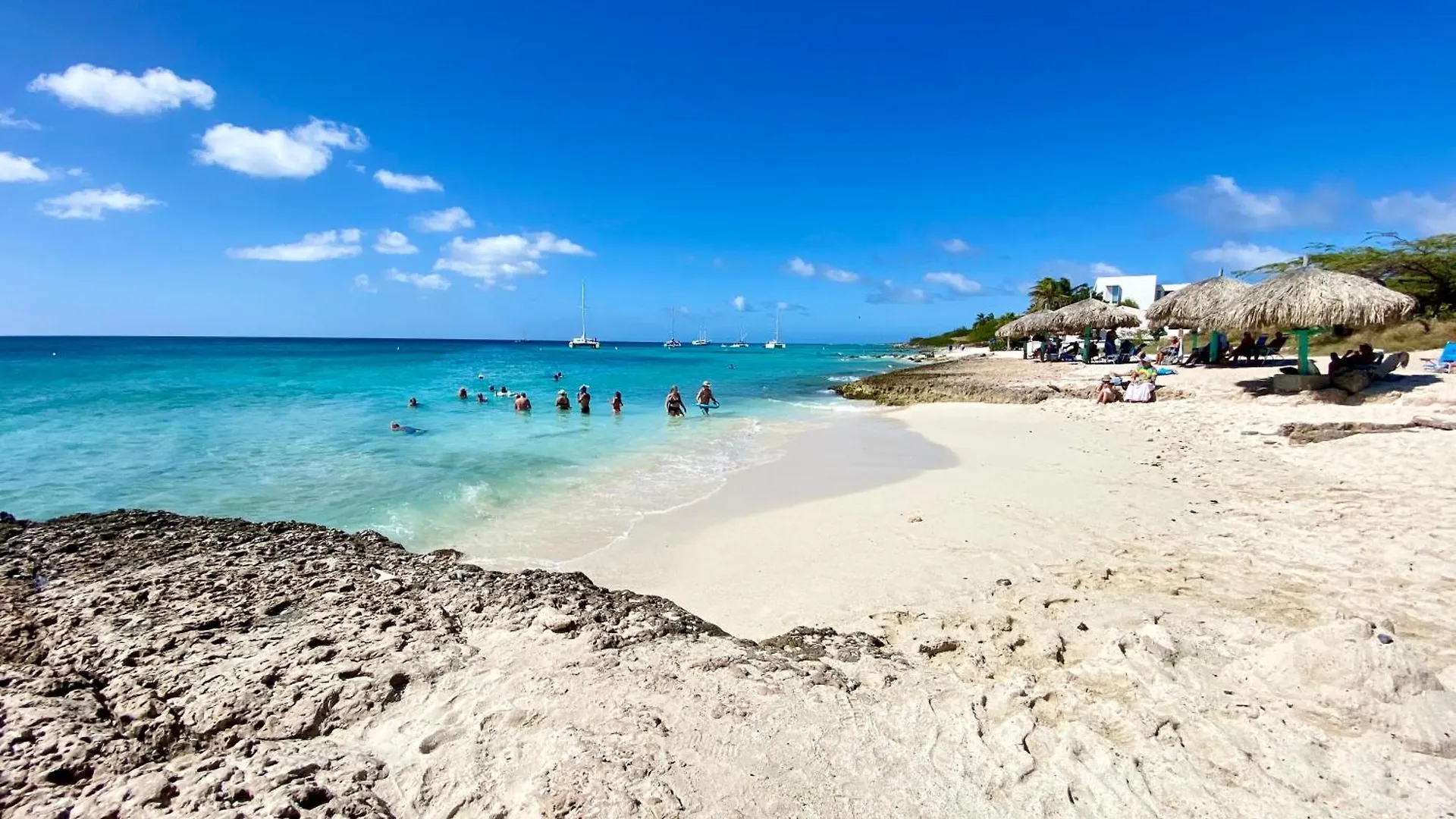 Casa Azure Aruba Villa Palm Beach Aruba